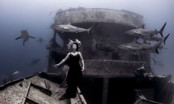 Under the Sea: Underwater Photographer of the Year 2019 Under the Sea: Underwater Photographer of the Year 2019 - Sputnik International