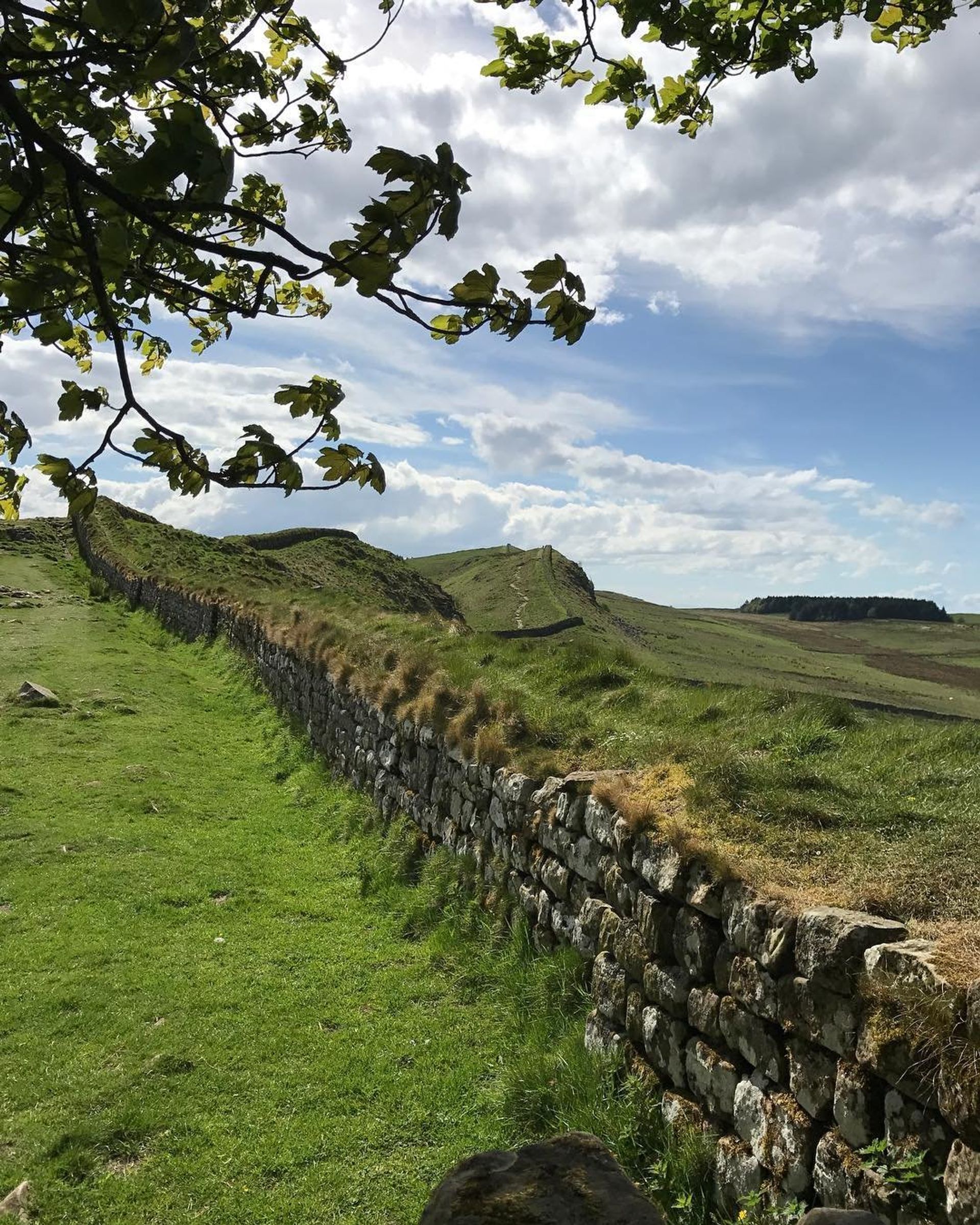 Hadrian’s Wall - Sputnik International, 1920, 26.05.2022