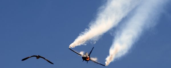 Pakistani Air Force F-16 fighter jet - Sputnik International