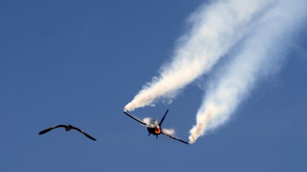 Pakistani Air Force F-16 fighter jet Pakistani Air Force F-16 fighter jet - Sputnik International