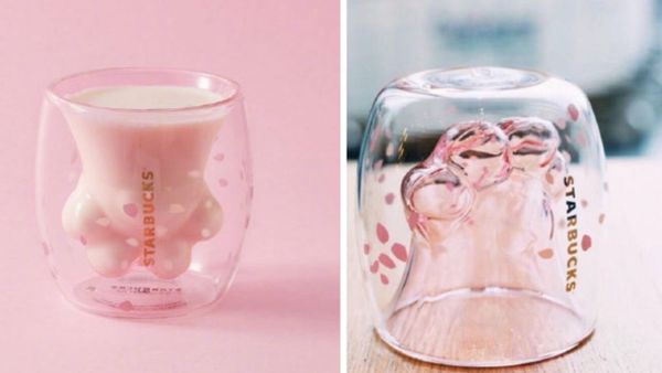 Cat Paw Cup in Starbucks - Sputnik International