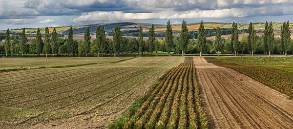 Land in Austria - Sputnik International