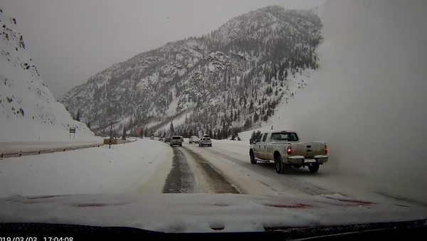No Turning Back: Series of Avalanches Trigger Highway Closures in Colorado - Sputnik International