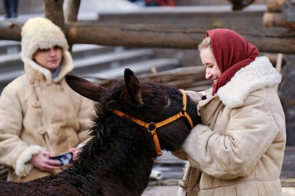 Maslenitsa Celebrations in Moscow: Slavic Tradition With a Flavour - Sputnik International