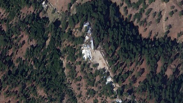 A cropped version of a satellite image shows a close-up of a madrasa near Balakot, Khyber Pakhtunkhwa province, Pakistan, March 4, 2019. Picture taken March 4, 2019 - Sputnik International