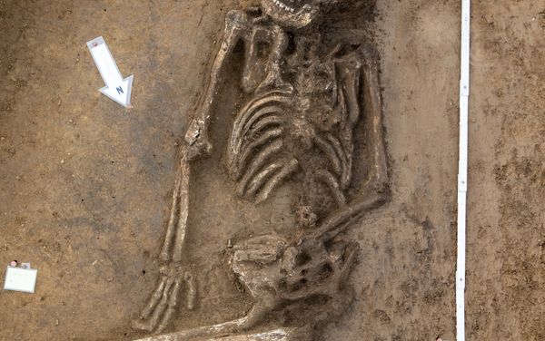 Fred the Skeleton - Sputnik International