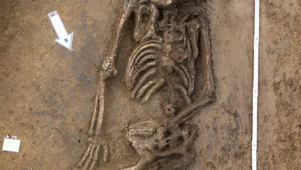 Fred the Skeleton - Sputnik International