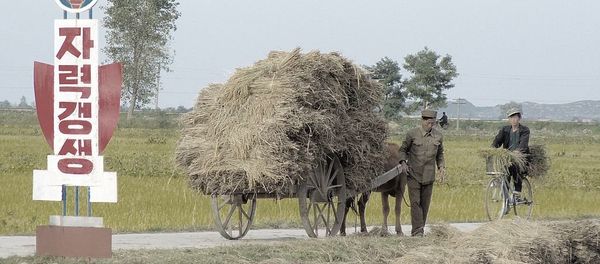 Chonsam Cooperative Farm, Wonsan, North Korea Chonsam Cooperative Farm, Wonsan, North Korea - Sputnik International