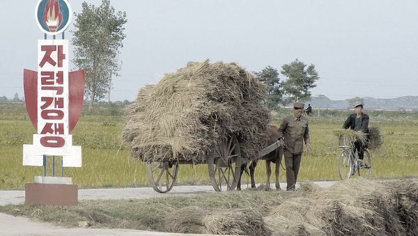 Chonsam Cooperative Farm, Wonsan, North Korea - Sputnik International