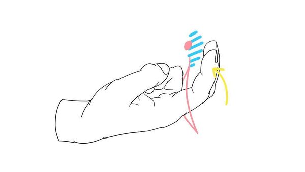 A drawing published by June's Instagram account shows the stimulation of an erogenous area of the vagina - Sputnik International