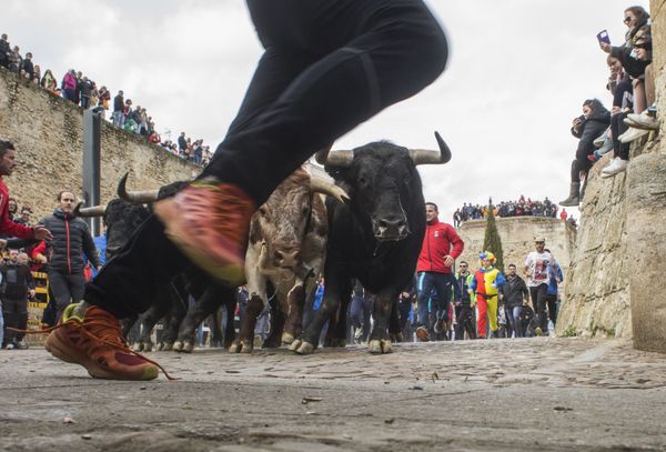 This Week in Pictures: 2 - 8 March This Week in Pictures: 2 - 8 March - Sputnik International
