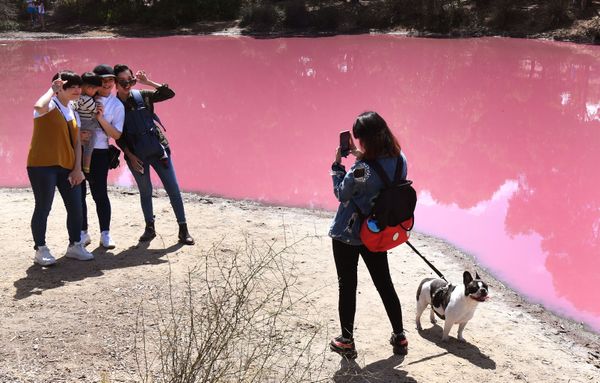 This Week in Pictures: 2 - 8 March This Week in Pictures: 2 - 8 March - Sputnik International