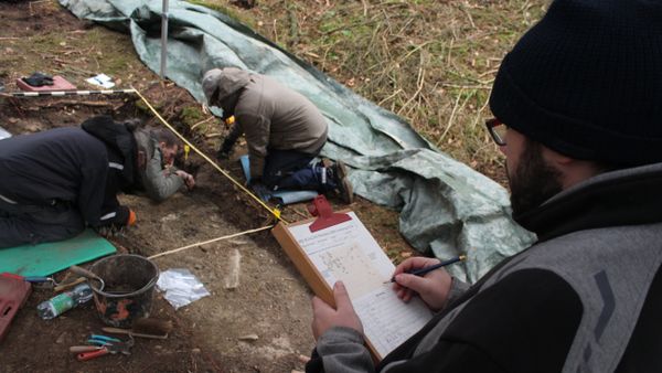 Excavation in the Langenbachtal near Warstein - Sputnik International
