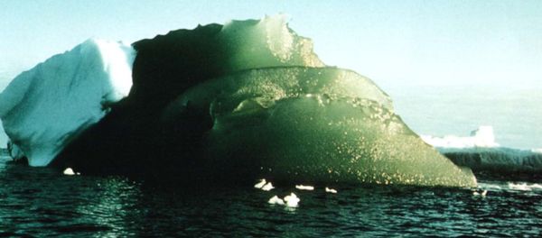 Why are some icebergs green? - Sputnik International