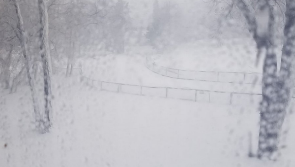 Midwest Bomb Cyclone - Sputnik International