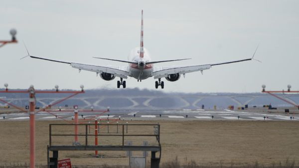 Boeing 737 MAX 8 - Sputnik International