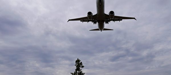 An American Airlines Boeing 737 MAX 8 flight from Los Angeles approaches for landing at Reagan National Airport shortly after an announcement was made by the FAA that the planes were being grounded by the United States in Washington, U.S. March 13, 2019 - Sputnik International