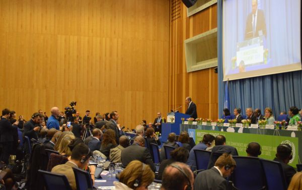 Russian FM Sergey Lavrov at the ministerial meeting of the 62nd session of the UN Commission on Narcotic Drugs in Vienna Russian FM Sergey Lavrov at the ministerial meeting of the 62nd session of the UN Commission on Narcotic Drugs in Vienna - Sputnik International