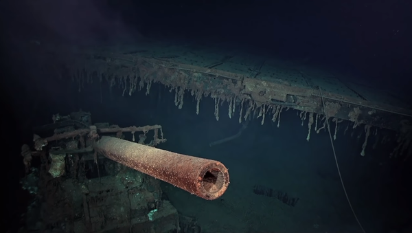 Wreckage of USS Wasp Located by R/V Petrel in the Coral Sea - Sputnik International