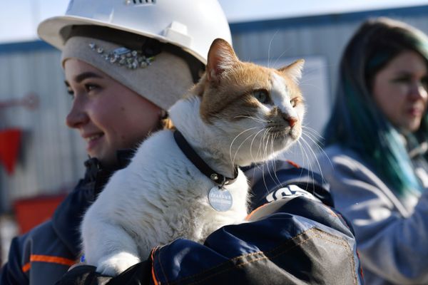 This Week in Pictures: 9 - 15 March This Week in Pictures: 9 - 15 March - Sputnik International