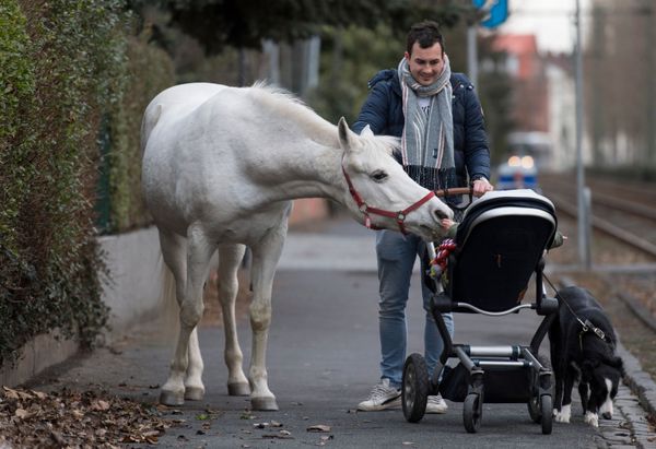 This Week in Pictures: 9 - 15 March This Week in Pictures: 9 - 15 March - Sputnik International