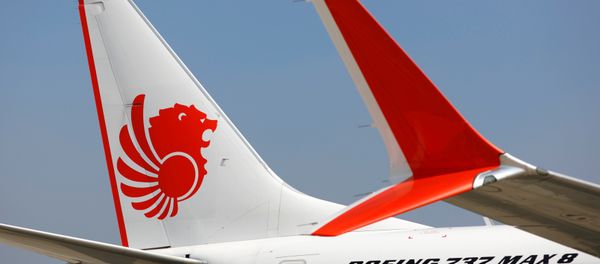 Lion Air's Boeing 737 Max 8 airplane Lion Air's Boeing 737 Max 8 airplane - Sputnik International