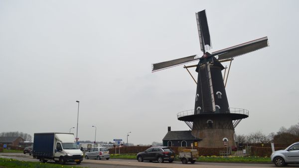 Dutch provincial election - Sputnik International