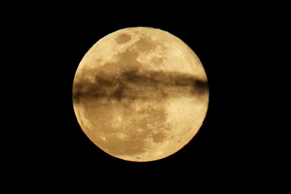 This Week in Pictures: 16 - 22 March This Week in Pictures: 16 - 22 March - Sputnik International