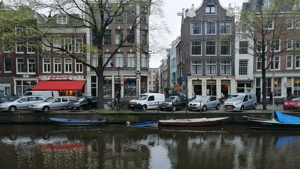 Dutch provincial councils' elections - Sputnik International