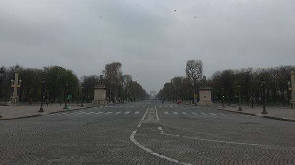 Champs Elysees, 23 March 2019. - Sputnik International