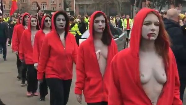 Topless women amid Yellow Vests protests in Lille - Sputnik International