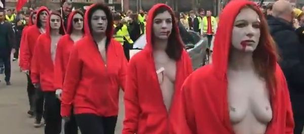 Topless women amid Yellow Vests protests in Lille Topless women amid Yellow Vests protests in Lille - Sputnik International
