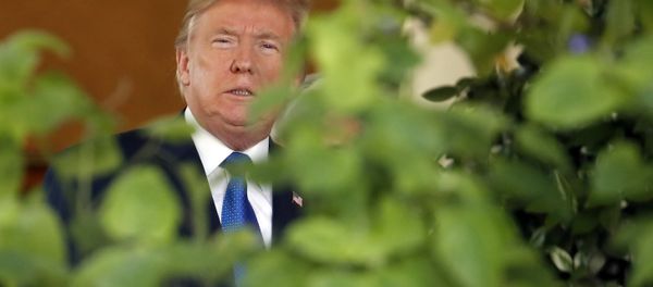 US President Donald Trump steps out of the Oval Office US President Donald Trump steps out of the Oval Office - Sputnik International