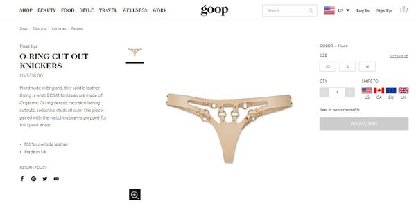 A screen from the Goop webpage displaying the o-ring cut out knickers - Sputnik International