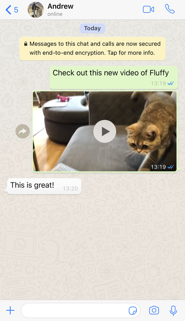 WhatsApp messages WhatsApp messages - Sputnik International