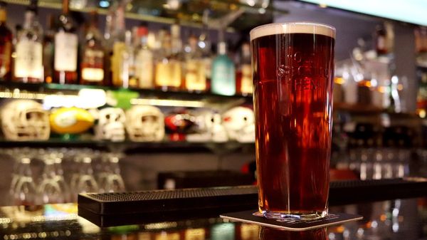 British ale - Sputnik International