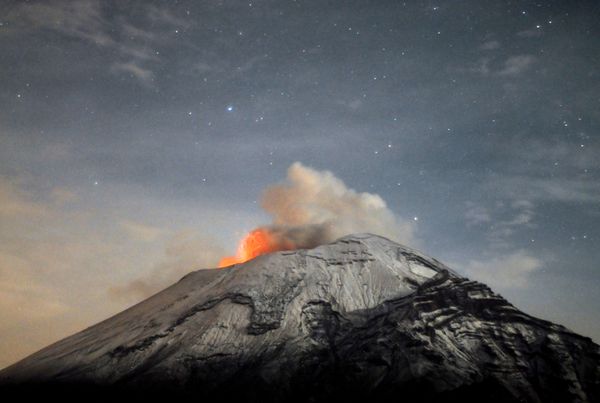 Ancient Volcano Eruptions that Killed Almost 90 Percent of Species Offer Warning on Global Warming Ancient Volcano Eruptions that Killed Almost 90 Percent of Species Offer Warning on Global Warming - Sputnik International