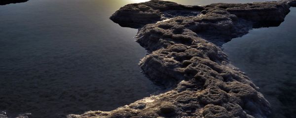 Dead Sea Dead Sea - Sputnik International