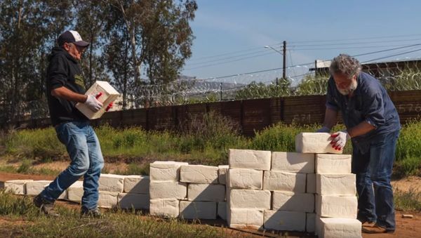 Cosimo Cavallaro's Cheese Wall - Sputnik International