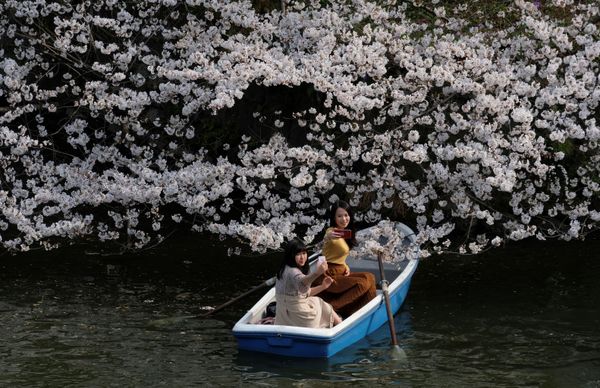 This Week in Pictures: 23 - 29 March This Week in Pictures: 23 - 29 March - Sputnik International