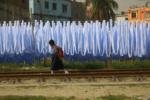 This Week in Pictures: 23 - 29 March This Week in Pictures: 23 - 29 March - Sputnik International