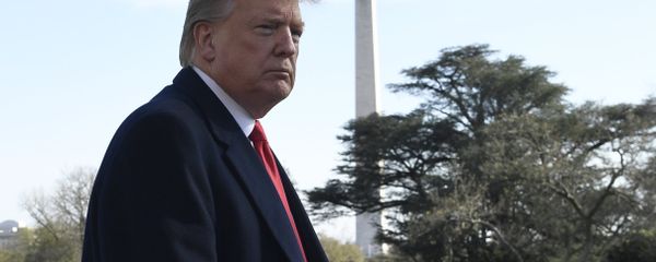 US President Donald Trump (File photo). US President Donald Trump (File photo). - Sputnik International