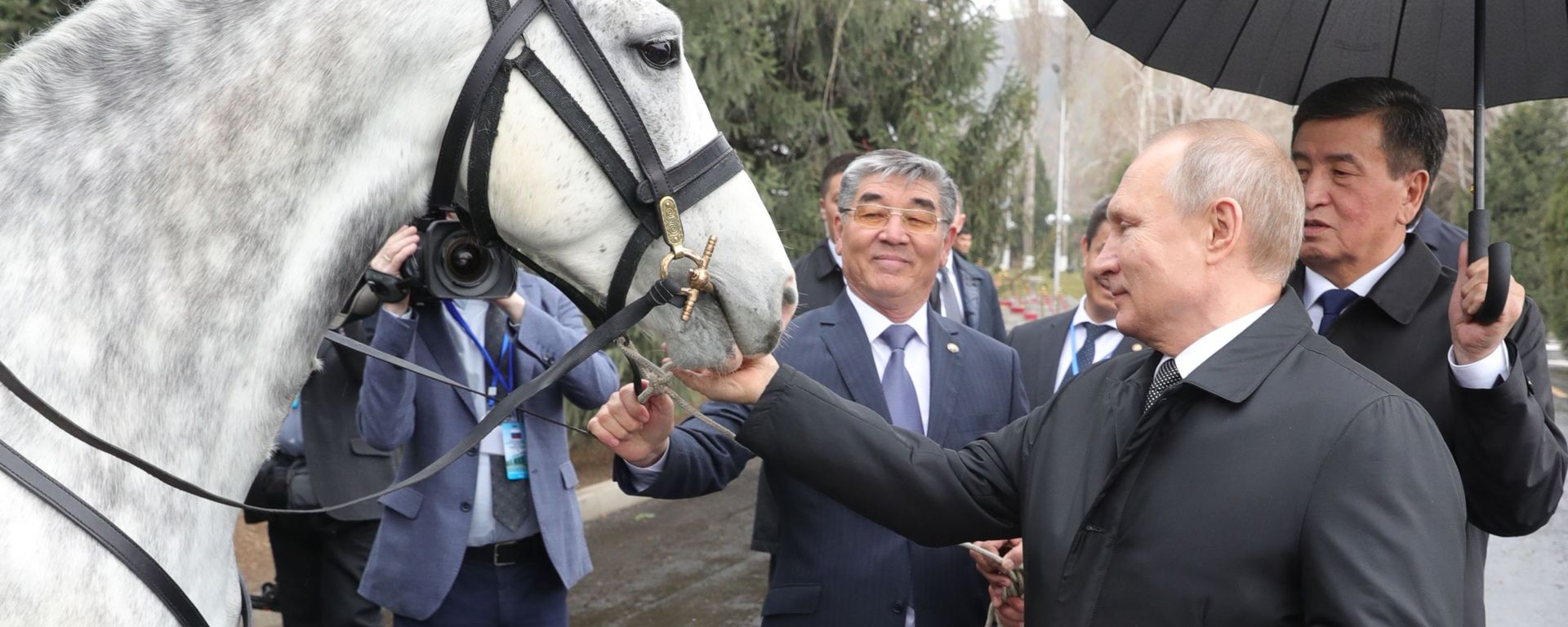 Surprise for Mr President: Tigers, Horses and Dogs Presented to Putin - Sputnik International, 1920, 30.03.2019
