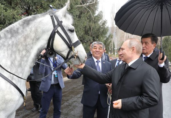 Surprise for Mr President: Tigers, Horses and Dogs Presented to Putin - Sputnik International
