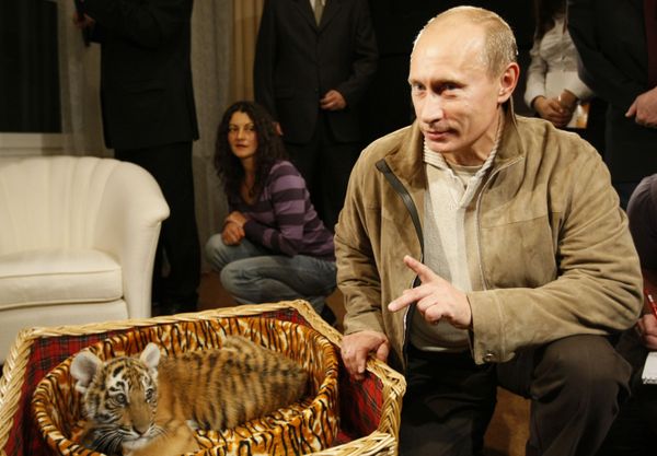 Surprise for Mr President: Tigers, Horses and Dogs Presented to Putin - Sputnik International