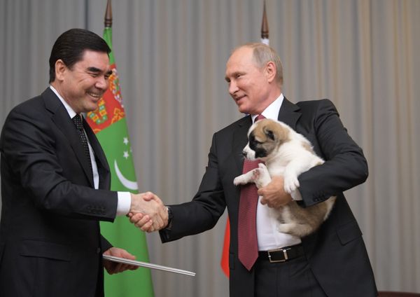 Surprise for Mr President: Tigers, Horses and Dogs Presented to Putin - Sputnik International