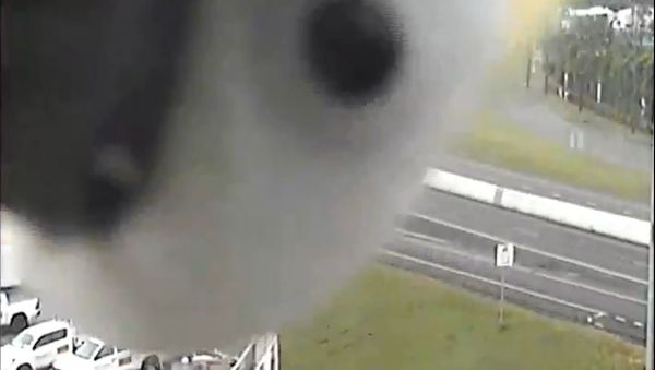 Parrot Camera Parrot Camera - Sputnik International