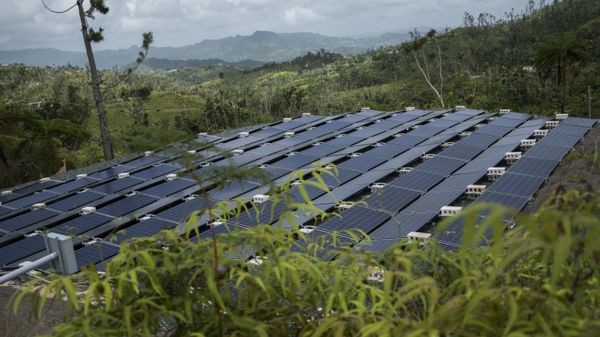 solar panels - Sputnik International