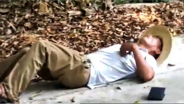 Man Bitten, Killed by King Cobra While Posing for Photo - Sputnik International