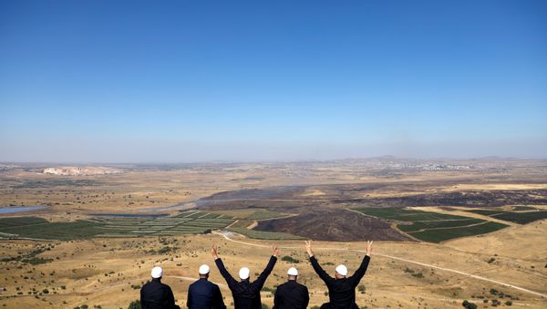 Israeli Druzes sit together watching the Syrian side of the Israel-Syria border on the Israeli-occupied Golan Heights, Israel July 7, 2018 Israeli Druzes sit together watching the Syrian side of the Israel-Syria border on the Israeli-occupied Golan Heights, Israel July 7, 2018 - Sputnik International